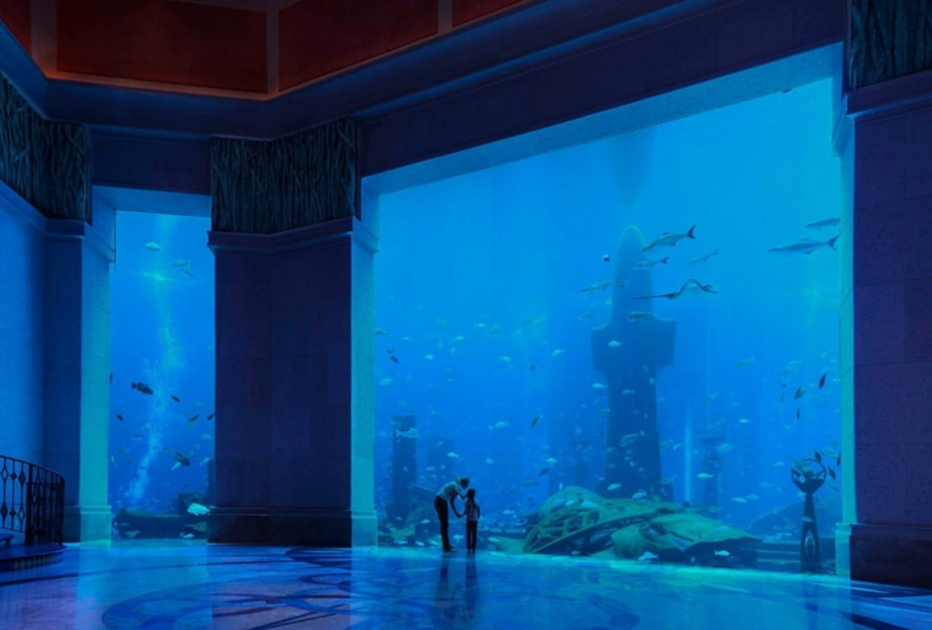 中東の水族館 ロストチェンバー水族館